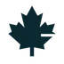 Averon Accounting logo — a maple leaf drawn from ledger lines