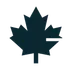 Averon Accounting logo — a maple leaf drawn from ledger lines